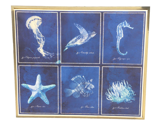 Indigo Sea Creatures